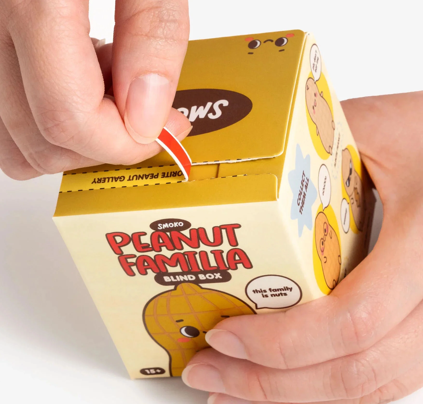 Cardboard Seal End Box - view 5