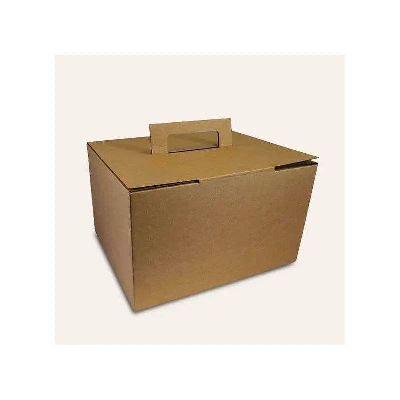 EcoPacki Handle Mailer Box