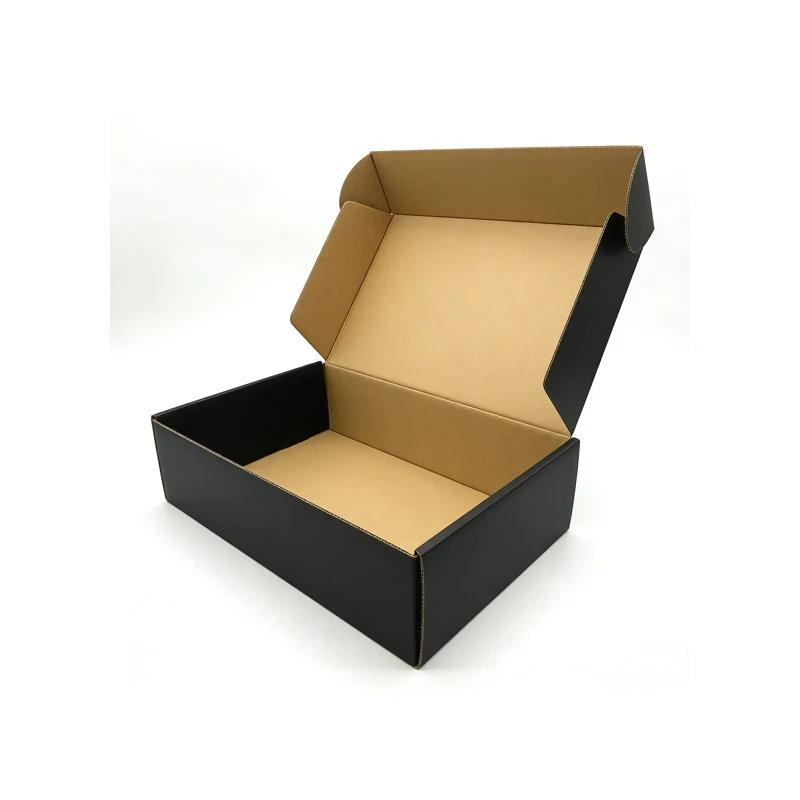 EcoPacki Type B Printed Mailer Box